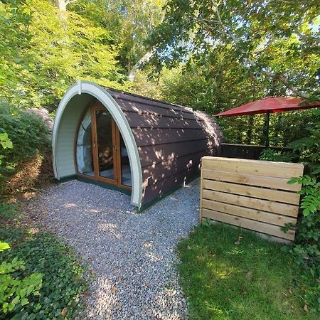 Priory Glamping Pods And Guest Accommodation كيلارني المظهر الخارجي الصورة