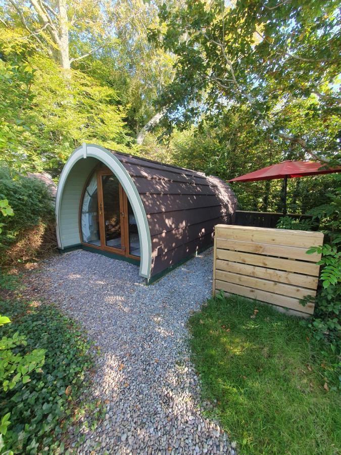 Priory Glamping Pods And Guest Accommodation كيلارني المظهر الخارجي الصورة