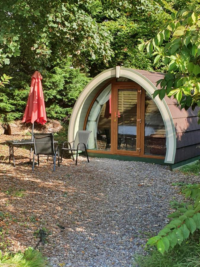 Priory Glamping Pods And Guest Accommodation كيلارني المظهر الخارجي الصورة