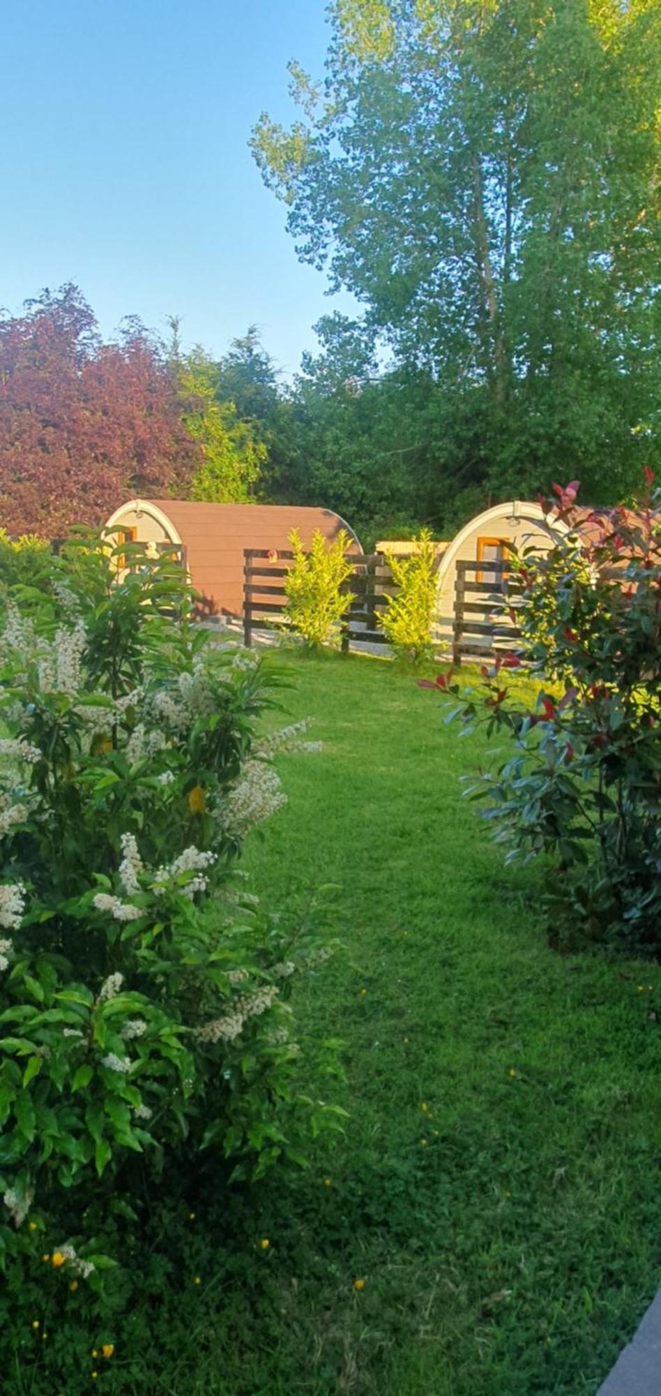 Priory Glamping Pods And Guest Accommodation كيلارني المظهر الخارجي الصورة