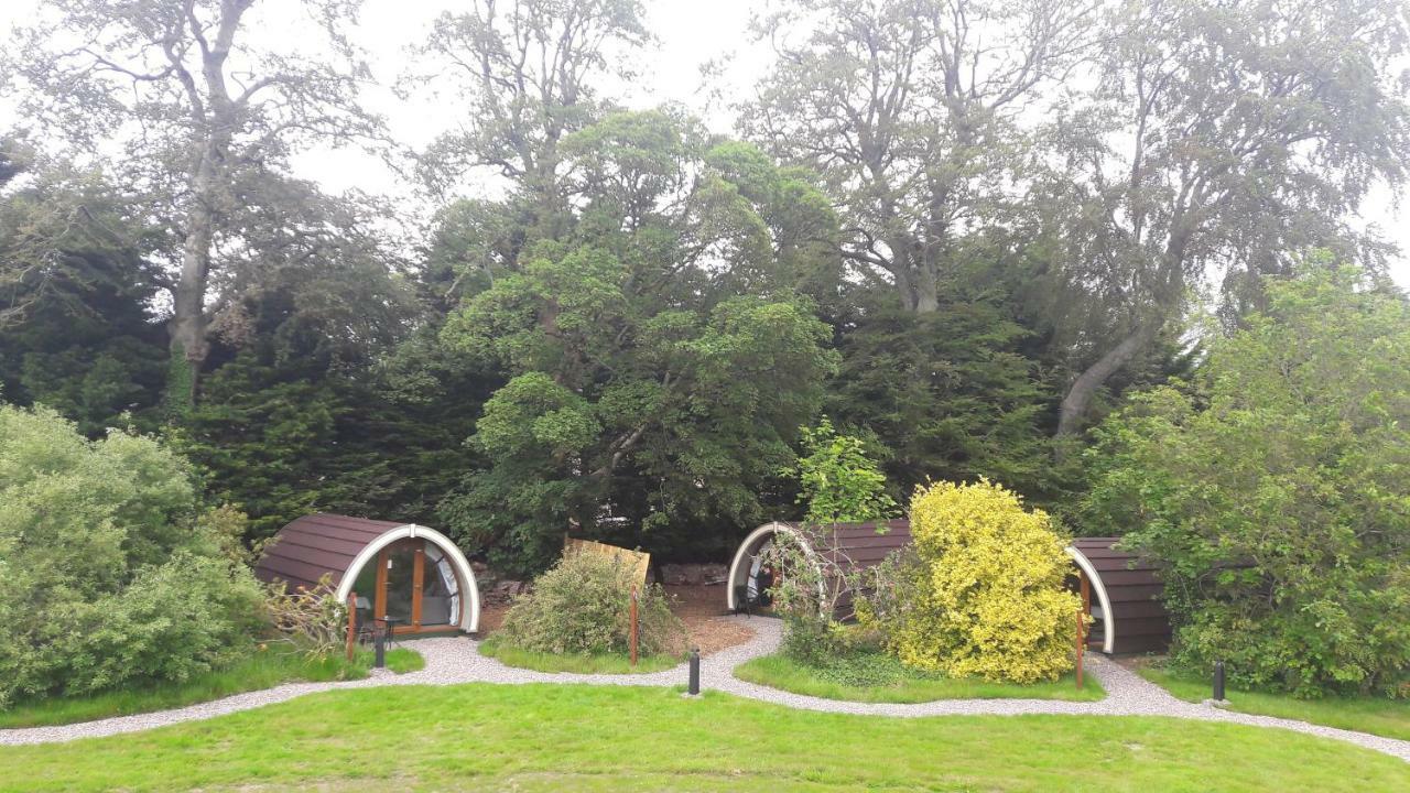 Priory Glamping Pods And Guest Accommodation كيلارني المظهر الخارجي الصورة