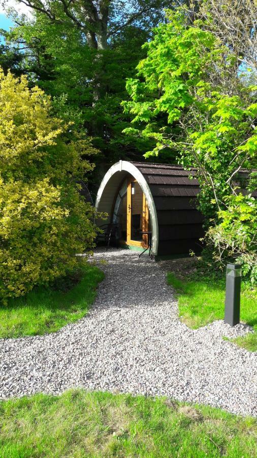 Priory Glamping Pods And Guest Accommodation كيلارني المظهر الخارجي الصورة