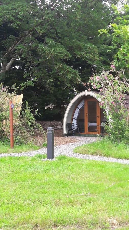 Priory Glamping Pods And Guest Accommodation كيلارني المظهر الخارجي الصورة