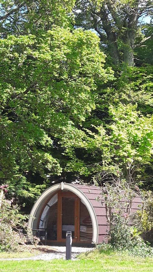 Priory Glamping Pods And Guest Accommodation كيلارني المظهر الخارجي الصورة