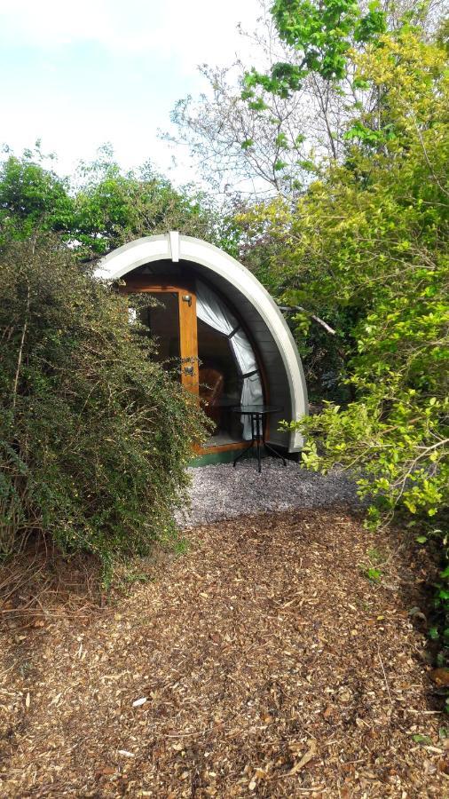 Priory Glamping Pods And Guest Accommodation كيلارني المظهر الخارجي الصورة