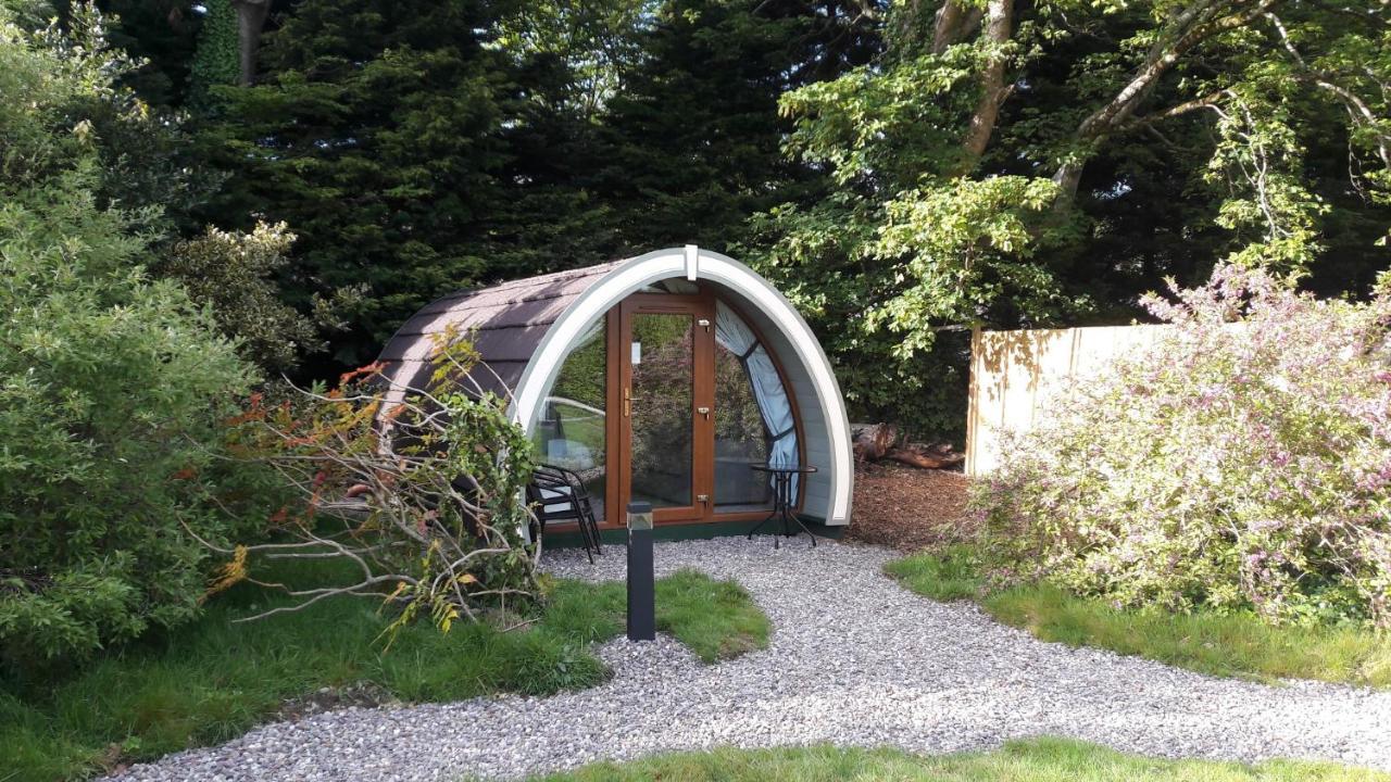 Priory Glamping Pods And Guest Accommodation كيلارني المظهر الخارجي الصورة