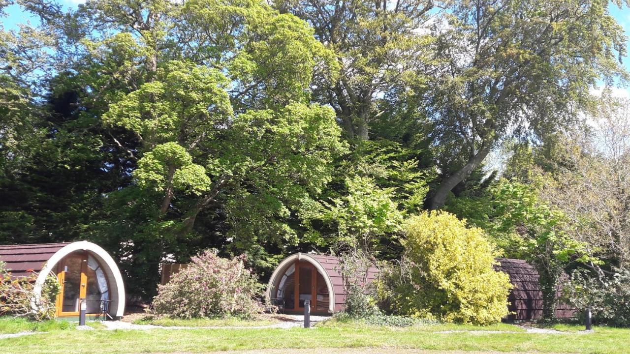 Priory Glamping Pods And Guest Accommodation كيلارني المظهر الخارجي الصورة